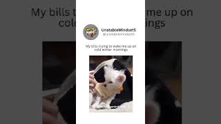 #officememes #funny #memes #corporatememes #comedy #funnymemes #jokes #shorts #short #shortvideo #yt