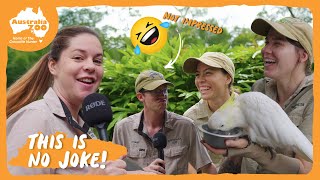 We ran out of ideas...so here's some animal jokes 🤣 | Australia Zoo Life