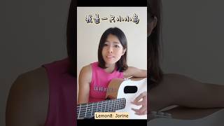 我是一只小小鸟 #翻唱 #翻唱歌曲 #翻唱歌手 #吉他 #吉他cover #獨唱 #唱歌 #老歌 #老歌精選 #老歌经典 #经典 #经典歌曲 #经典老歌 #老歌回顾 #经典金曲 #音乐 #音乐分享