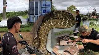 JUMBO COBRA SA CONTAINER VAN