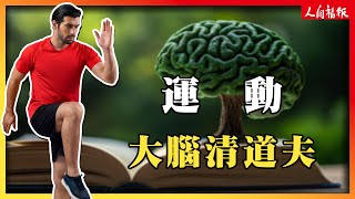 清除大腦廢物最佳方法！可以降低失智風險、延緩老化