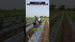 yah Juggad India se bhar nahi jana shiye #desijugaad #Juggad #villagelifevlog #farming