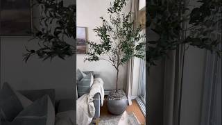 Olive tree(corner styling) #homedecor #diyprojects #diy #shorts #short #viral #viralshorts
