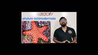 phylum Echinodermata | Animal classification | Viral Short | Avinash sir