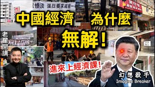 中国经济大萧条已无解：3000月收入的国家，却天天吃“佛跳墙”？债务黑洞让子孙还命！#翟山鹰 #老翟开讲