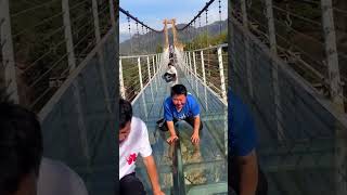 They Froze in Fear on the Glass Bridge! 😂 Couldn’t Take Another Step! #shoerts #viral #trending