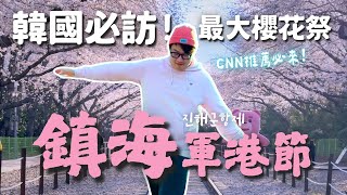 必訪！韓國最大櫻花祭「鎮海軍港節」連CNN都推薦【韓國賞櫻】| 胃公子 | 胃酸人生活