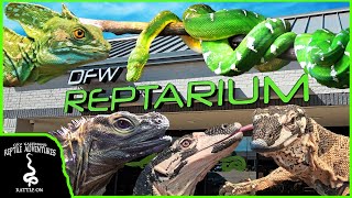 TOURING THE BEST REPTILE SHOP IN TEXAS! DFW Reptarium