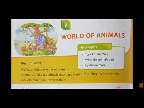 world of animals