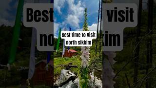 Best time #march #april #mountains #shortvideo #indianstate #sikkim #northsikkim #march #lachung