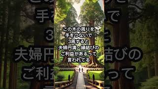 高千穂神社がすごすぎる #japanheritage #金運 #japaneseheritage #金運 #雑学 #japanhistory