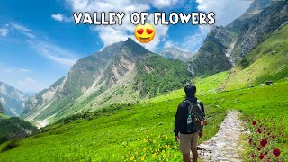 This is the real heaven 😍😍 The loss of flowers from Dehradun | Dehradun | Travel Bug