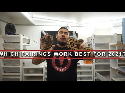 WHICH PAIRINGS WOULD YOU DO?? NEED THAT EXPERT/HOBBIEST ADVISE!