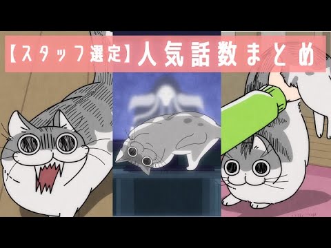 アニメ『夜は猫といっしょ』人気話数まとめ【スタッフ選定】