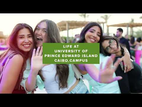 Life at UPEI Cairo Campus