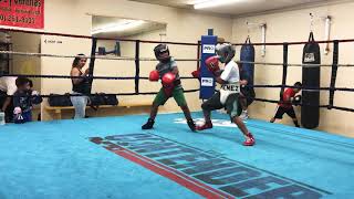 ITALIAN PUERTO RICAN HUNGARIAN MEXICAN MIXED VEGAN BOXER BRO’S  (Victorville & Hesperia Boxing)