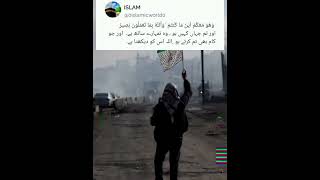 Free Palestine,(Allah sees everything)#palestine #islamichadees#quranlines #islam#allahﷻ#allhuakbar
