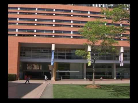 UNSW