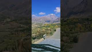 🇳🇵 #TravelNepal #Mustang #Nepal2025 #EpicJourney #TravelGoals #ExploreNepal #BucketListAdventure