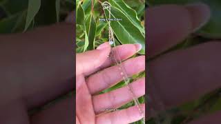 Fun.! #fairy #aesthetic #forest #flying #nature #me #summer #blowup #viral #fyp #fly #war #fairywar
