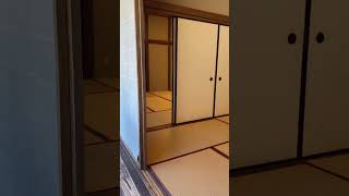 お茶会にお邪魔してきました
