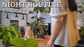【50代一人暮らし】平日夜のナイトルーティーン/植物と猫に癒やされる心と体を整える夜時間