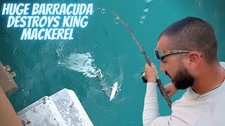HUGE BARRACUDA DESTROYS KING MACKEREL 😭🎣