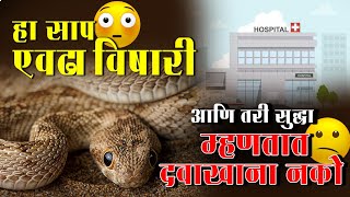 विषारी साप चावून औषधाला नाही म्हणतात.... 😥