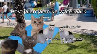 Pov: jalan jalan ke waterpark | Meme Kucing | #pov #meme #kucing #cat