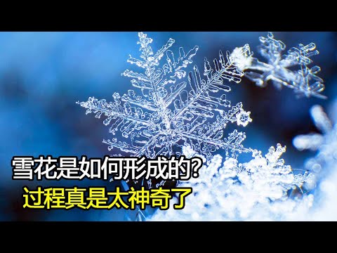 雪花是如何形成的？为什么世界上没有两片相同的雪花？