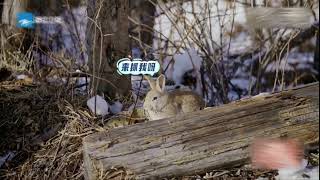 D.T.  唐禹哲 - 幸運旅行家 Teaser 3