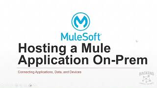 Mule Application deployment on-premises server