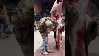 226 Inch Trophy Wyoming Mule Deer #nontypical #hunting #outdoor #muledeer #deer #87octane