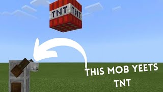 Raiding my friend with tnt yeeters