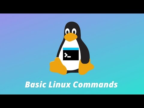 basic linux commands