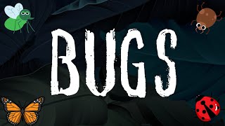 Bugs for Kids | Learn about Bugs | Insects | Storytime | Children's Books | Kids Stories