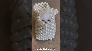 kitty cutey#cats #kitten #kitty #kittylove #youtubeshorts #instagram #like #comment