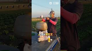 如何簡單有效地改善土壤結構