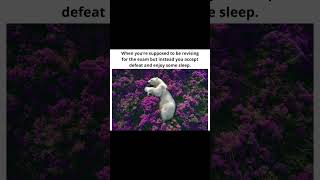 I don't care no more  #memes #sad #testday #reddit #funnymemes  #eeriestories #ironic