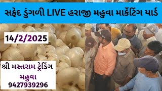 સફેદ કાંદા ની લાઈવ હરાજી 🟥  #onion #mahuva #agriculture #farming #onionfarming #agribusiness