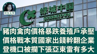 中國服裝製造商被擠出美國市場●●豬肉禽肉價格暴跌，養殖戶承壓●●習近平的「反內卷」運動，在中國股市引發熱議●●中國產業政策的「不盈利」困境●●從香港飛加拿大登機口被攔下！綠城張亞東雷有多大？