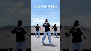 大风吹倒梧桐树 #一起跳舞