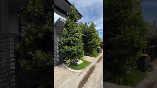 Thanks to our client. #automaticgate #motorizedgate #smartgate #automaticslidinggate  #backyard