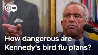 Why scientists warn against the US plans to let the bird flu virus spread unchecked | DW News