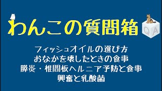 わんこの質問箱 0918　〜フィッシュオイルの選び方、椎間板ヘルニア・膵臓に負担をかけない食事、おなかを壊したときのご飯、興奮と乳酸菌と腸内環境〜
