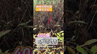 打除草剂要怎么降低，对土壤根系的影响？要选一款杀草率高，见效快，伤害小的除草剂#除草剂 #草 #除草 #除草不伤作物