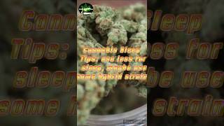 Cannabis Sleep Tips: 💨  #cannabis #bighenn1 #gethigher