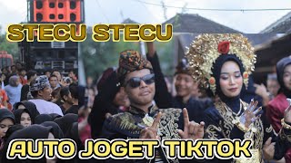 PENGANTEN HEBOH JOGET TIKTOK VIRAL STECU STECU PANORAMA LIVE WANASABA 2925