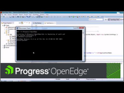 OpenEdge: Debugging ABL Code