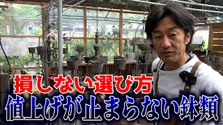 安くてセンスのいい鉢教えちゃいます【カーメン君】【園芸】【ガーデニング】